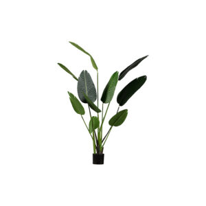 Kunstplant | Strelitzia H165
