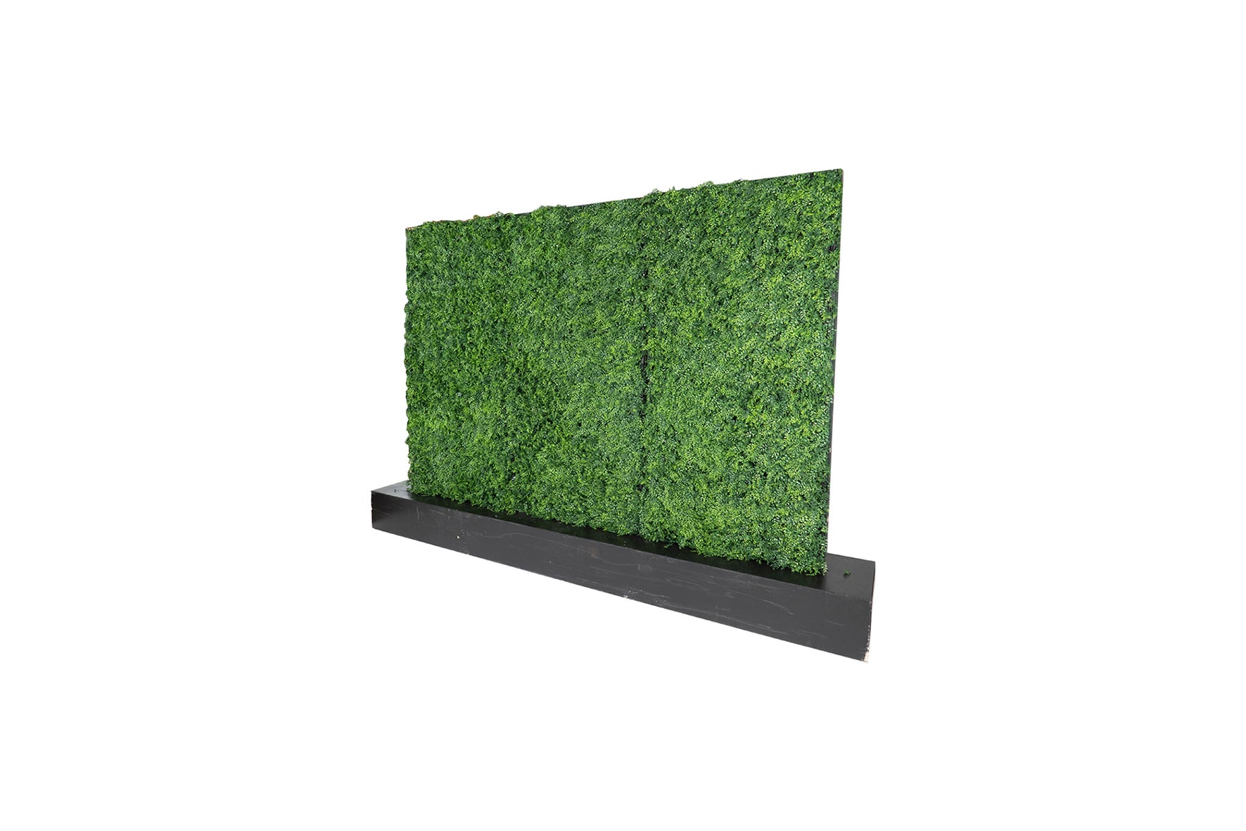 Room divider | Green wall L345xW50xH230