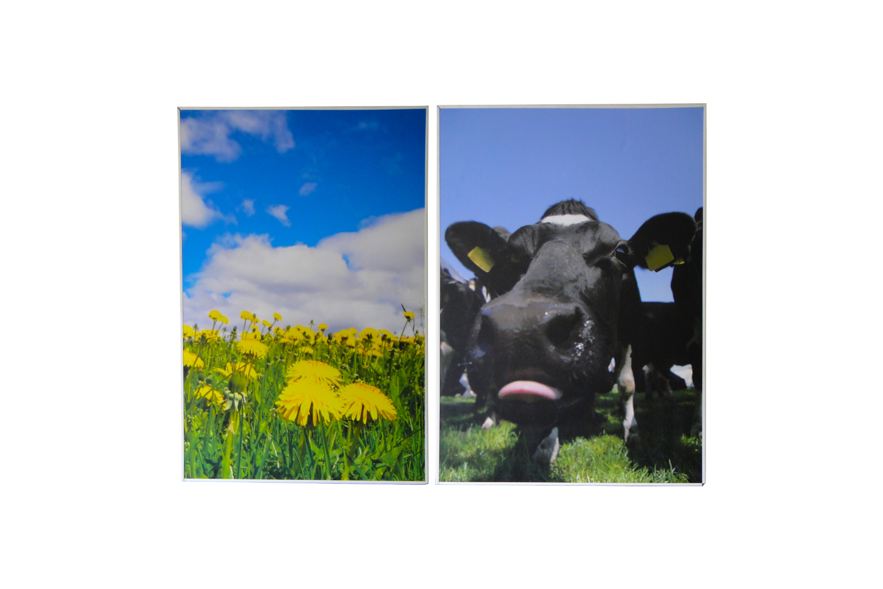 Schilderij | Boerderij 2 stuks L85xH120