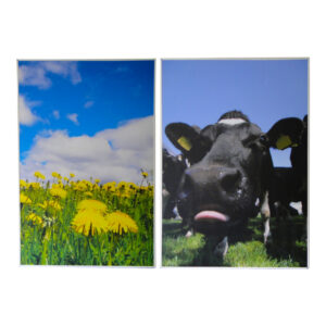 Deco | Schilderij boerderij 2 stuks L85xH120