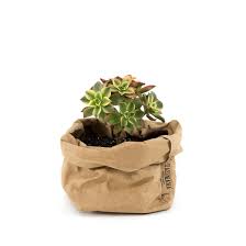 Bloempot S | Uashmama paper bag diverse kleuren Ø12xH25