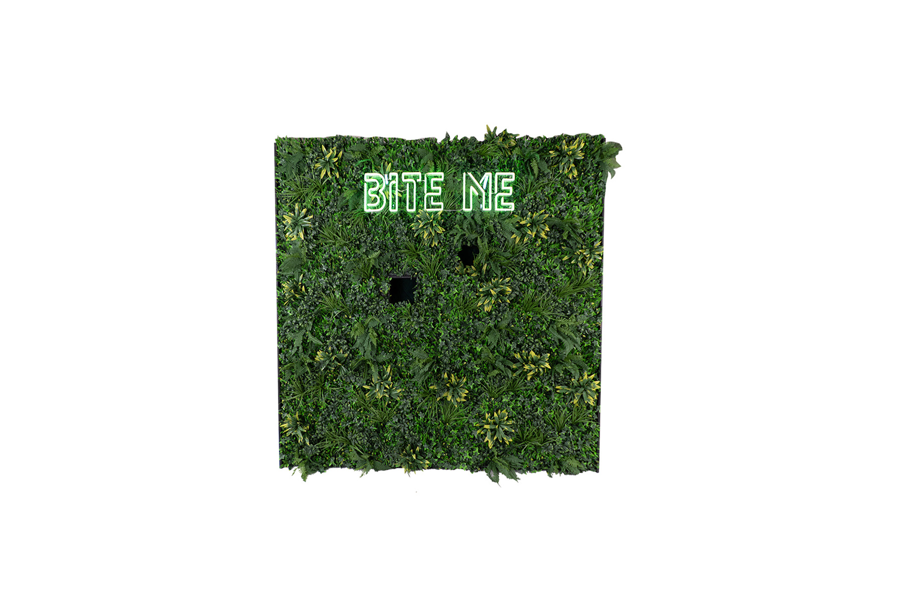 Distribution wall | Green wall with 2 shutters L253.6xW95xH250 (set)
