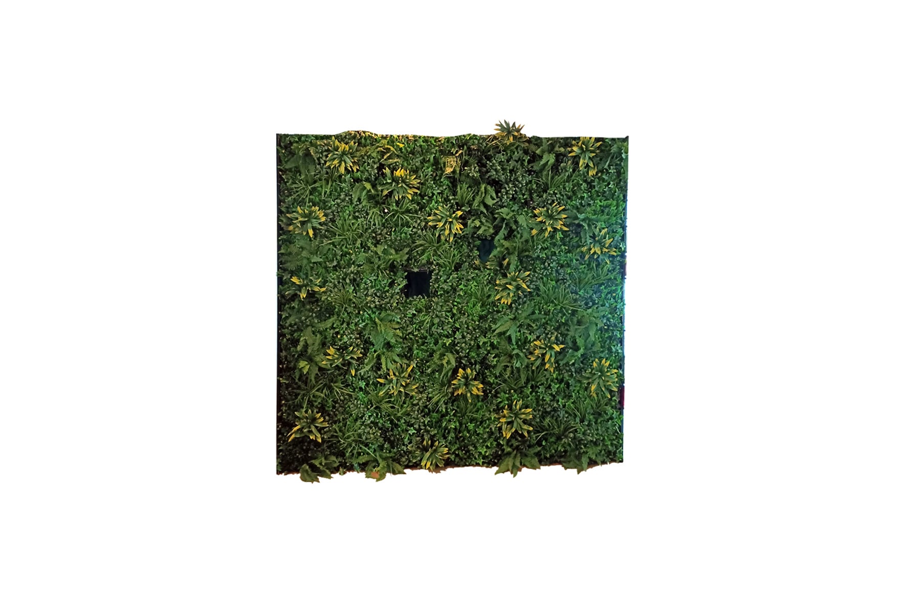 Distribution wall | Green wall with 2 shutters L253.6xW95xH250 (set)