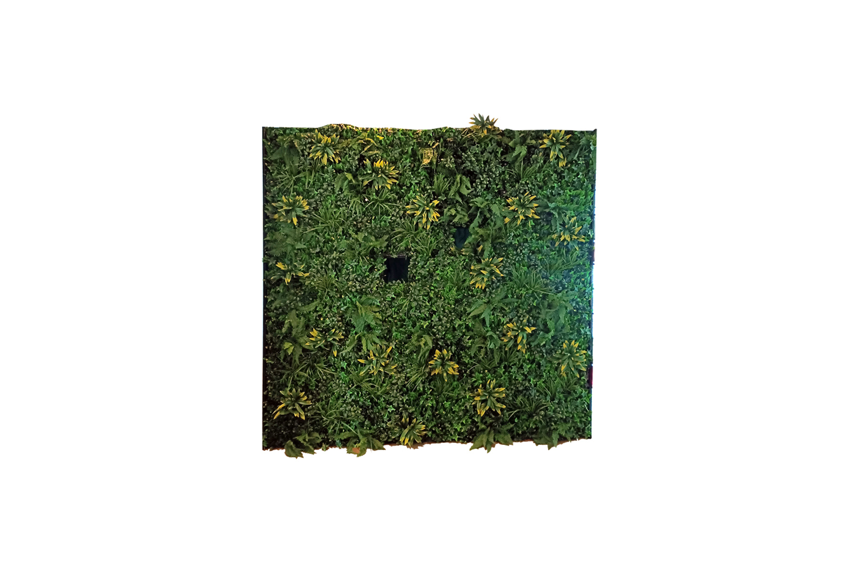 Distribution wall | Green wall with 2 shutters L253.6xW95xH250 (set)