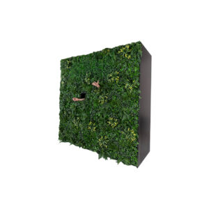 Uitgiftewand | Groenwand met 2 luiken L253,6xB95xH250 (set)