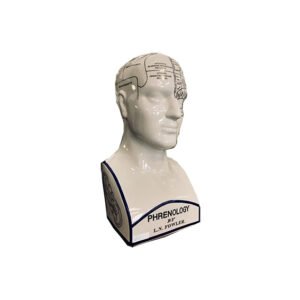 Vintage phrenology hoofd groot L12xB18,5xH38