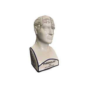 Vintage phrenology hoofd groot L12xB18,5xH38