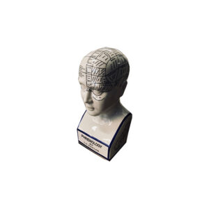 Vintage phrenology hoofd klein L14xB14xH30
