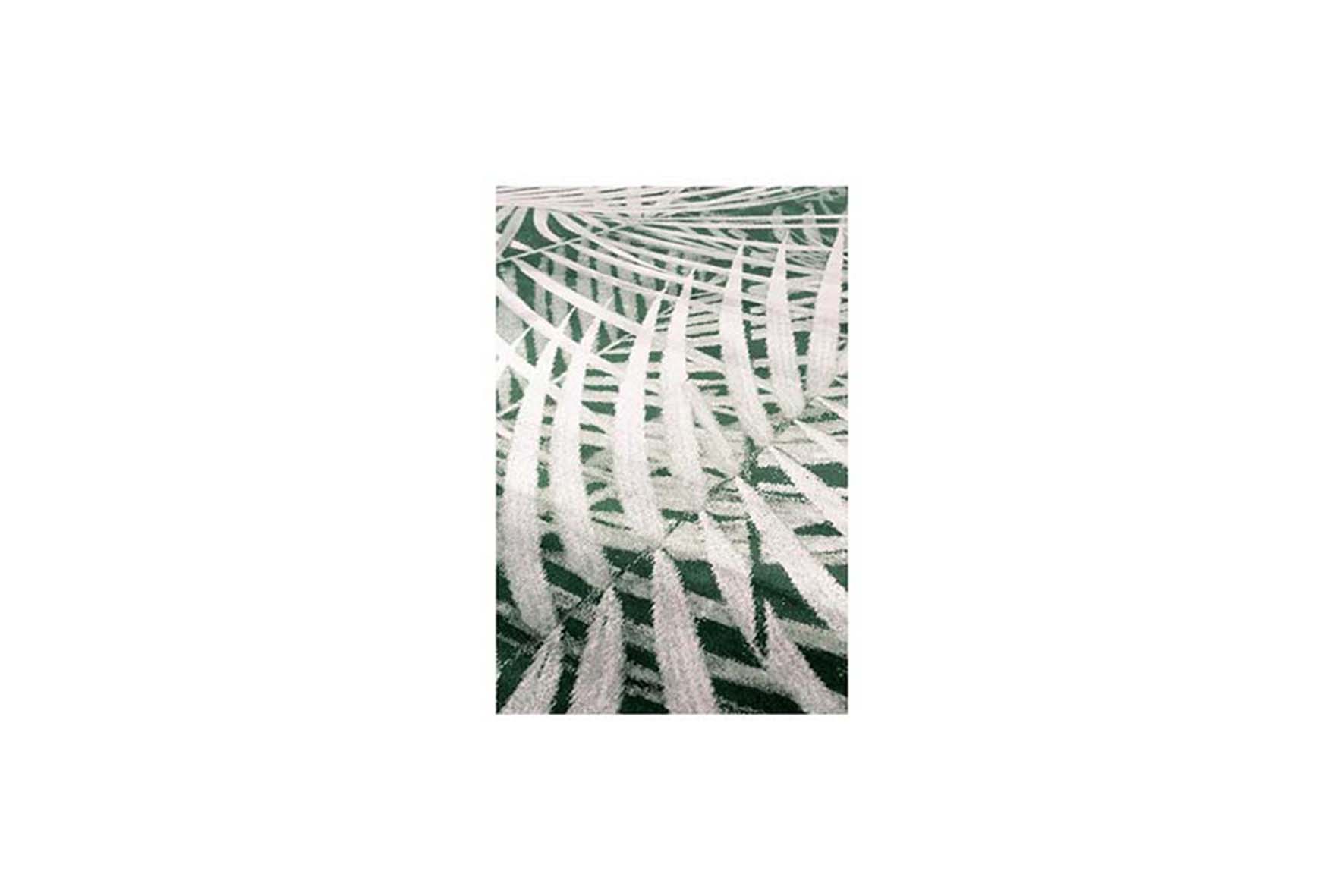 Carpet  Botanical green L240xW170