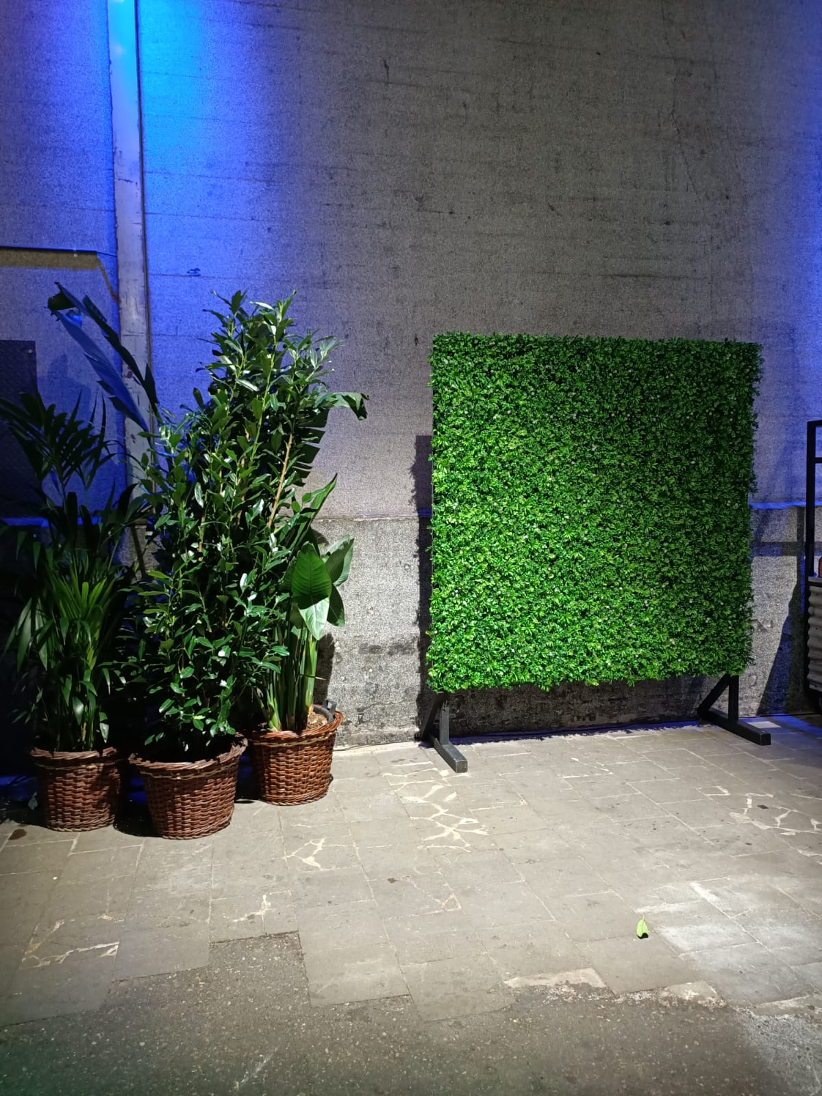 Scheidingswand | Groenwand flower groot L200xH200 met koppeling