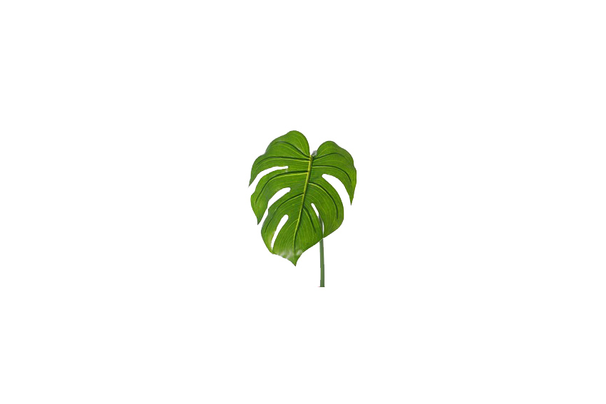 Artificial leaf | Monstera deliciosa L93