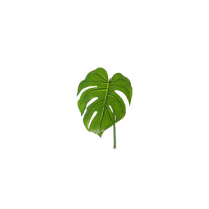 Kunstblad | Monstera deliciosa L93