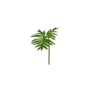 Kunstblad | Philodendron selloum 'Sapa' large L90