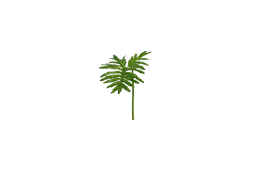 Kunstblad | Philodendron selloum 'Sapa' large L90